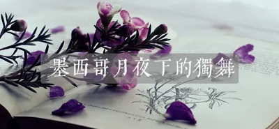 墨西哥月夜下的獨舞