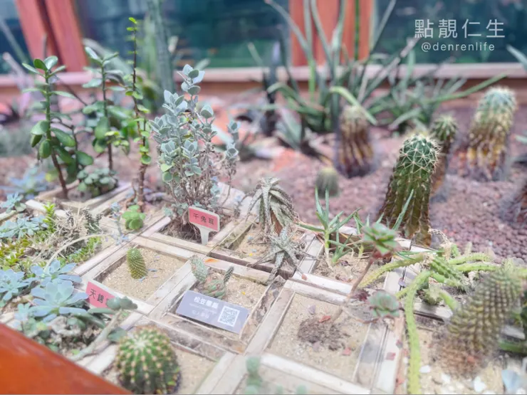 殺手機容量的多肉區｜台北典藏植物園