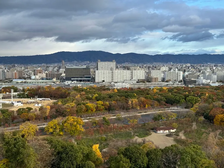 銀杏和紅葉綻放時的顏色，都要比身旁的建築還搶眼。
