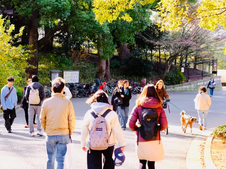 代代木公園即景1