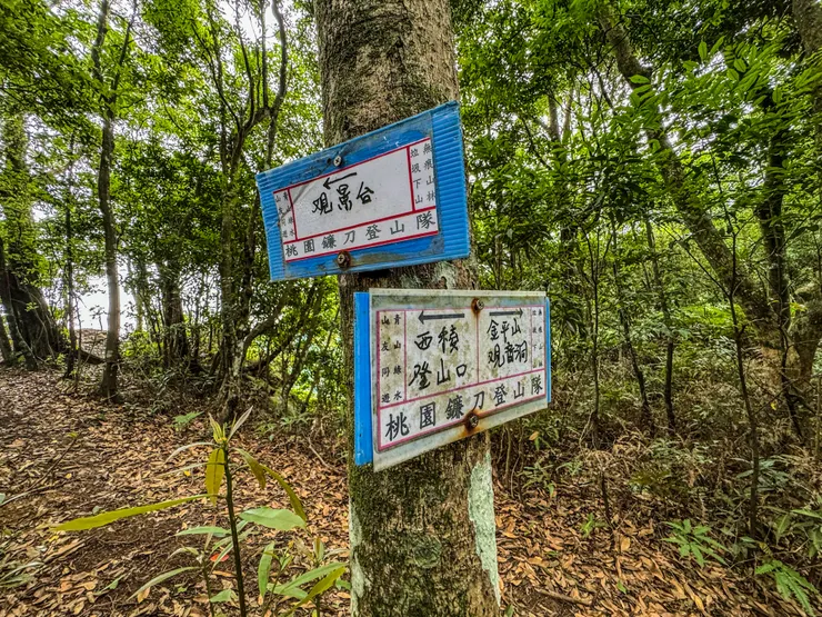 678峰觀景台就在叉路旁。(看完風景要接著往西稜登山口)