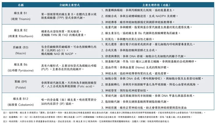 維生素B的形式與生理功能