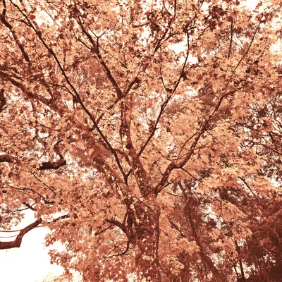 故事就這麼厲害