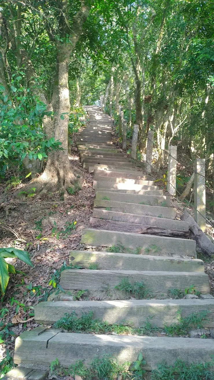 登山步道（圖片截圖於網路）