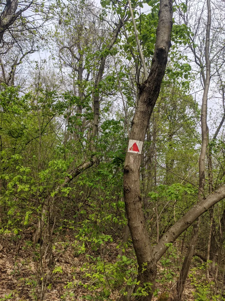 樹上也有標記號(可以配合mapy.cz看)