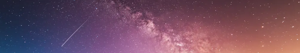 黑色鬱金香的沙龍