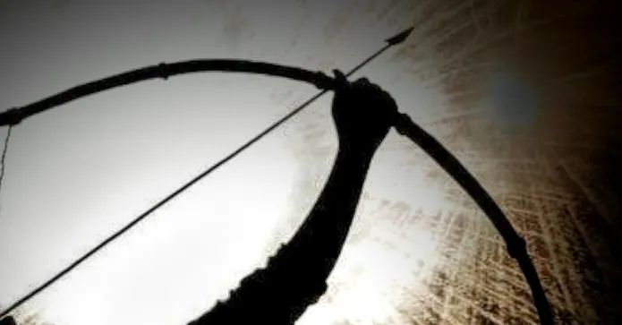 射 手 🏹  箭 矢