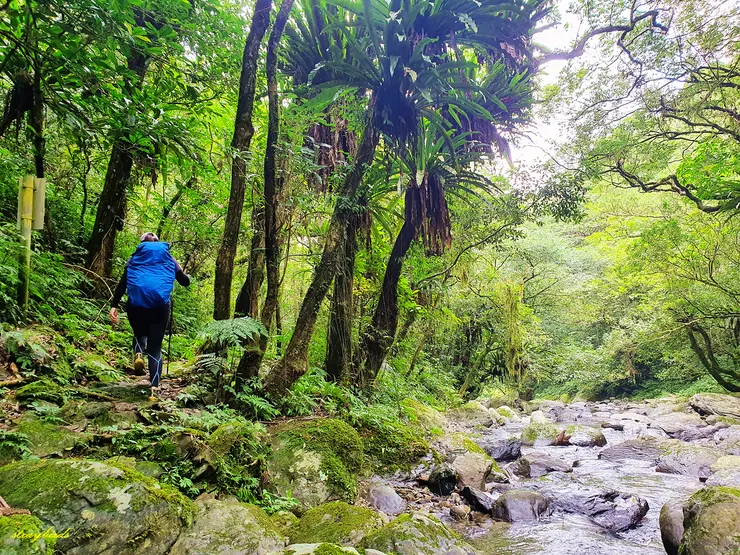 接著步道沿溪而行