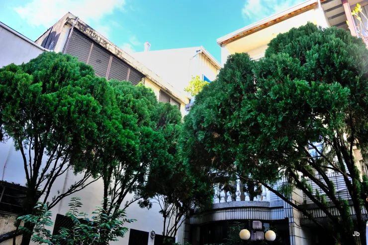 2022年1月，已決定翻新舊居，拍照留念。