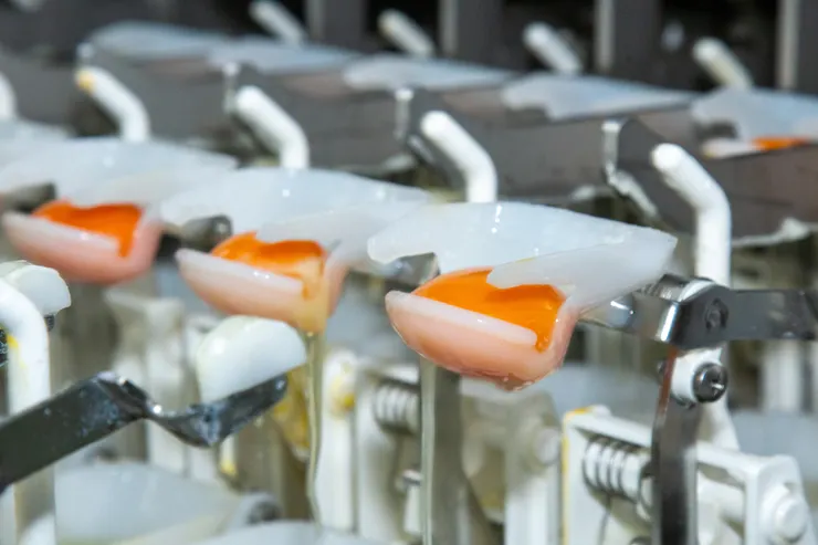 圖說：勤億蛋品科技創立45周年，從「心」出發持續推動永續發展，期盼每顆雞蛋都能「蛋」盡其用。（資料來源：勤億蛋品科技）