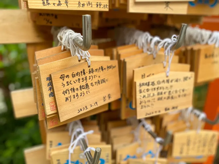 為母親祈求眼睛手術順利的繪馬