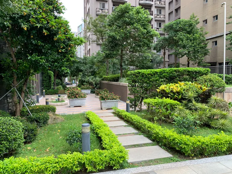 石砌空間中的一方自然綠意🍀