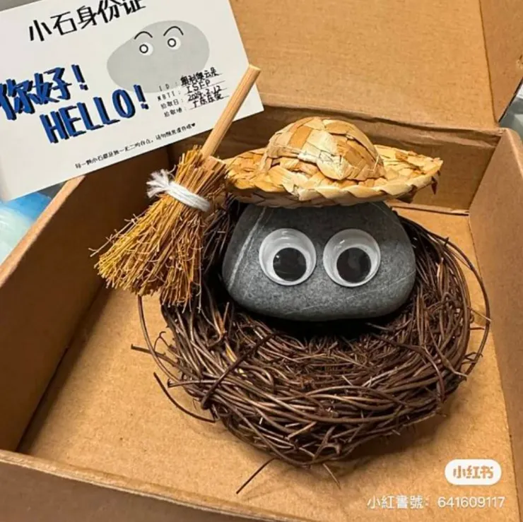 看到韓國最近風靡養「寵物石頭」，也是種療癒呢