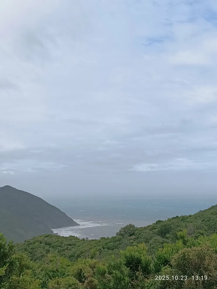 萬里煙水人念遠