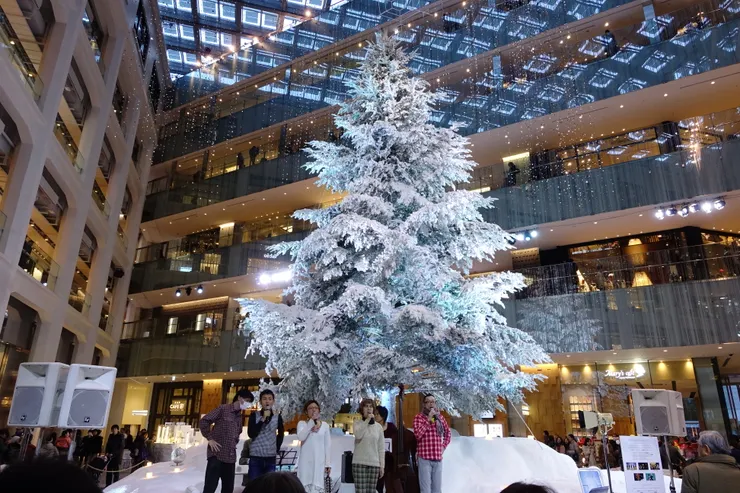 樹下正好有聖誕歌曲的重唱表演。