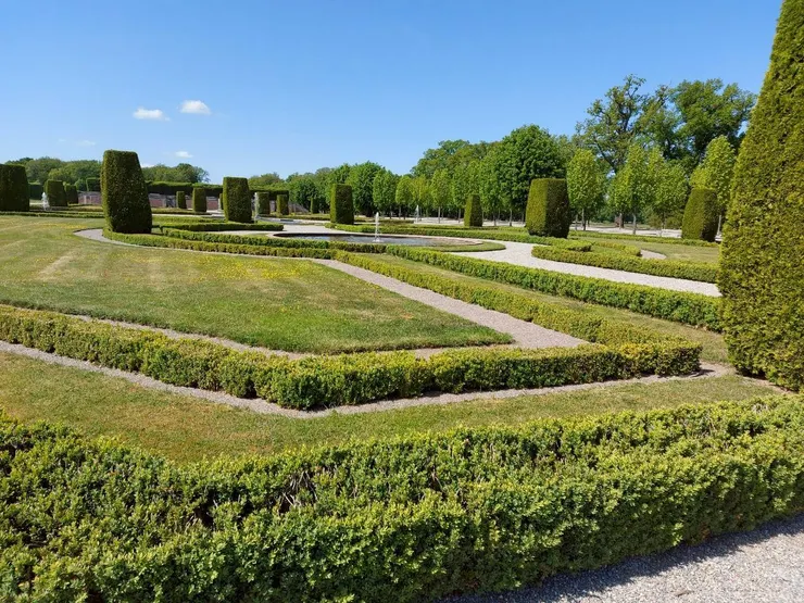 成幾何圖形的植栽