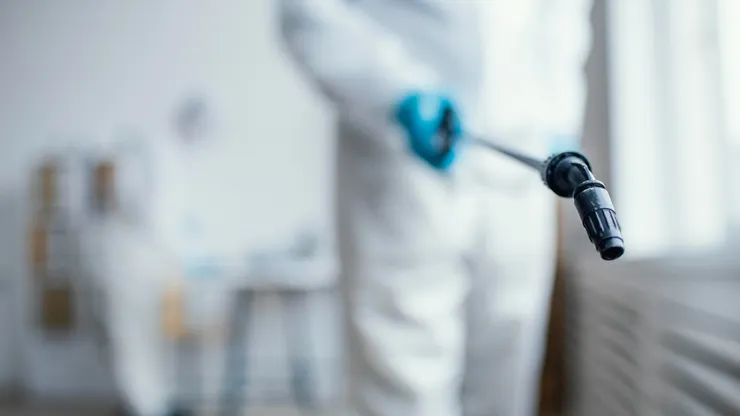 新北除白蟻公司