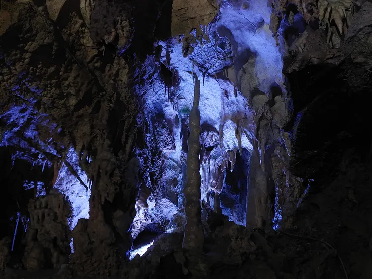有些石柱已經快要長到天花板了，搭配著後面的霧氣真的很有朦朧感~