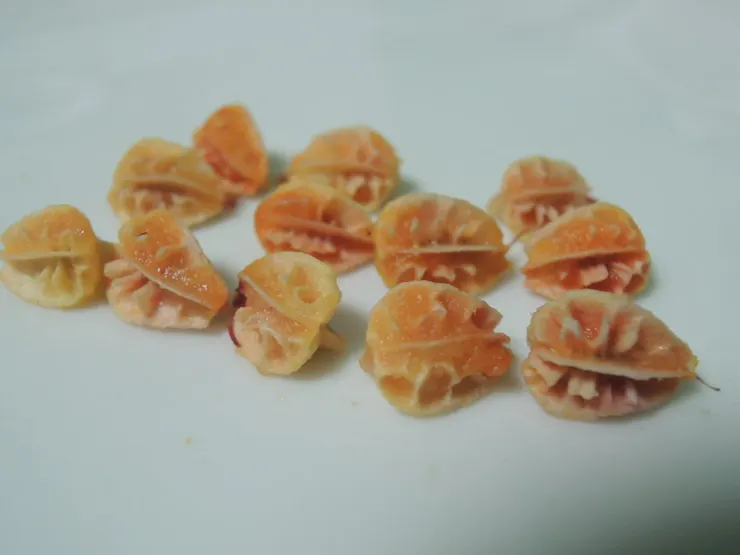 這是它的軟種子