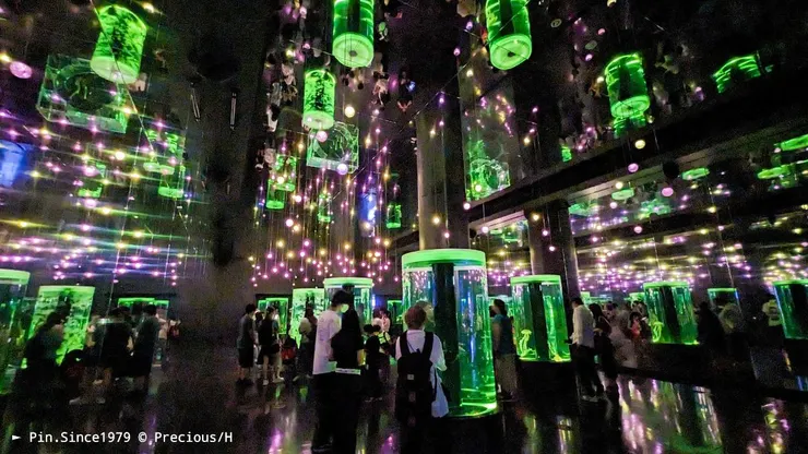 浮游著打傘似獨特泳姿的水母群，軟硬體先行彰顯奇妙科幻氛圍。