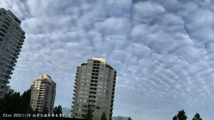 神獸額頭三條線...