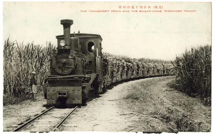 高雄甘蔗田與搬運列車 (出處:社團法人臺灣歷史學會,由國立臺灣歷史博物館典藏)