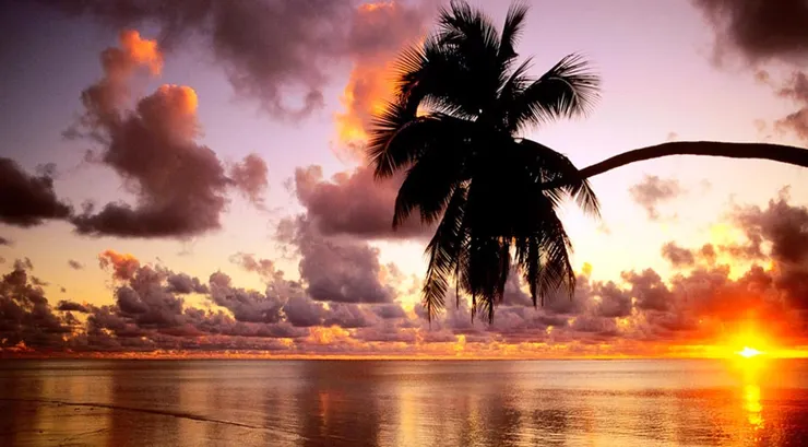 賺錢是為了讓自己能過著更自在的人生