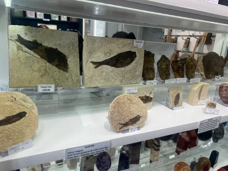 超好買的紀念品店