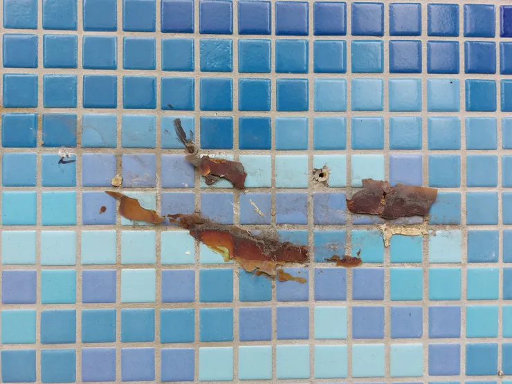 交趾陶或剪黏的魚被拆除了 / 資料來源：我自己