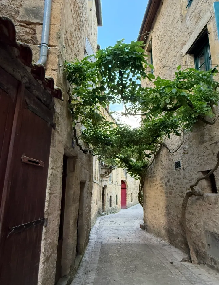 走進去，永遠都有驚喜的巷弄