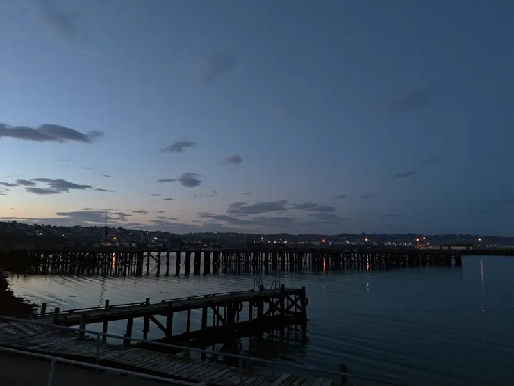 遠處木頭橋上站著滿滿的藍企鵝，牠們準備要跳海游回巢