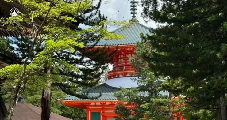 高野山壇上伽藍根本大塔，紅白相間建築被綠意包圍