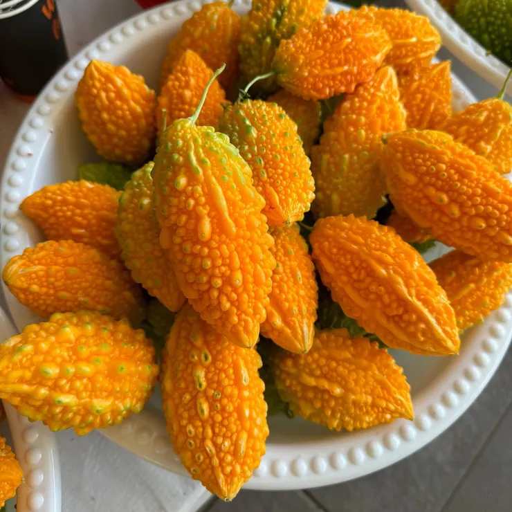 山苦瓜小時候，內部種子不苦還甜甜的