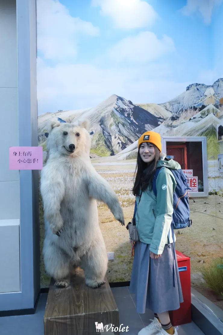 西寧 青海湖 動物標本