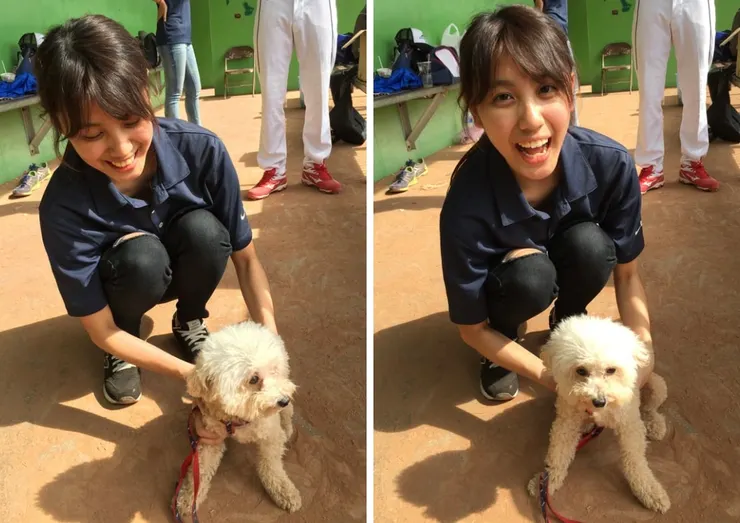 對小型犬沒有抵抗力💓