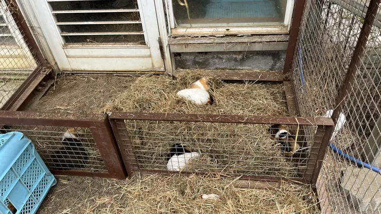 心情不自覺更加放鬆。