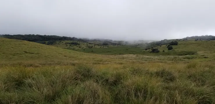 一望無際的草原，帶來漠然的氣氛