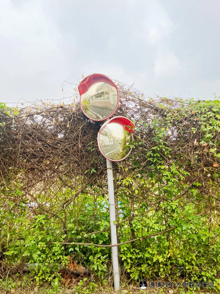 在小巷子裡發現了超可愛反光鏡
