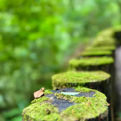 時間善待著我們