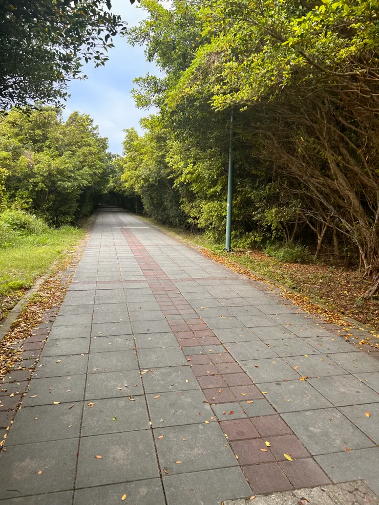 綠蔭遮擋了陽光