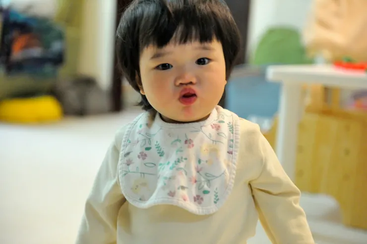 【晚餐後，嘴裡含著一塊蓮霧在客廳悠遊的萬萬。】