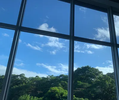 人資園丁的發想