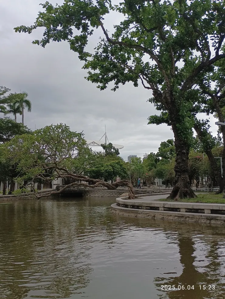 多情惟是池情懷