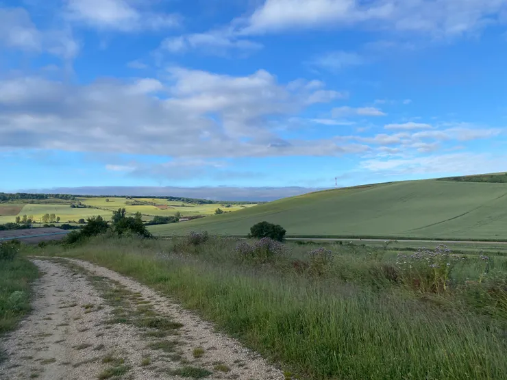 走錯路的一天，發現大家都在我的右手邊，哈哈。