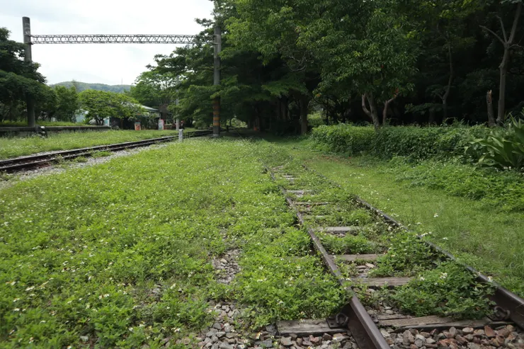 從山壁側蔓延至鐵路的綠地