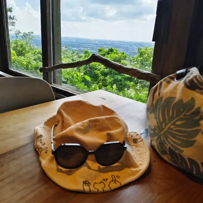 呆安娜Diana的沙龍