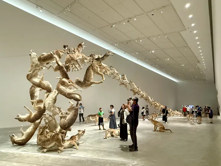 直島新美術館 蔡國強作品《撞牆》