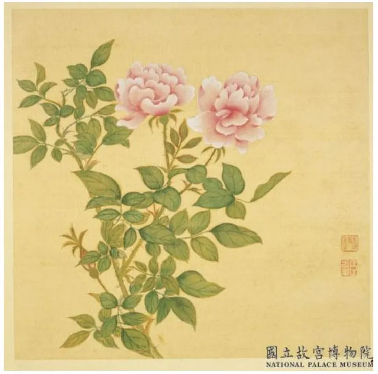 (清)鄒元斗《四季花卉冊》之牡丹月季 現存國立故宮博物院