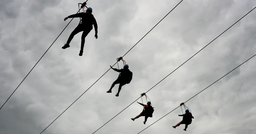 鴨嘴獸泡著文字浴