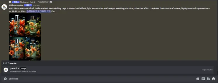 在訊息中打入"/describe"便會出現這個選單